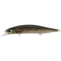 Воблер DUO Realis Jerkbait 120SP Pike 120mm 17.8g CCC3815 Brown Trout N (34.27.86) - уменьшенное изображение 1