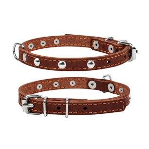 Нашийник для тварин Collar одинарний з прикрасами Ш 12 мм Д 24-32 см коричневий (00236) зображення 1