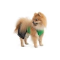 Костюм для тварин Pet Fashion Aleks XS2 (4823082430543) - зменшене зображення 3