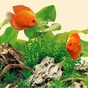 Світильник для акваріума Juwel Nature LED 1200 мм (4022573868326) - уменьшенное изображение 3