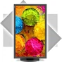 Монітор NEC PA271Q Black (60004305) - зменшене зображення 5