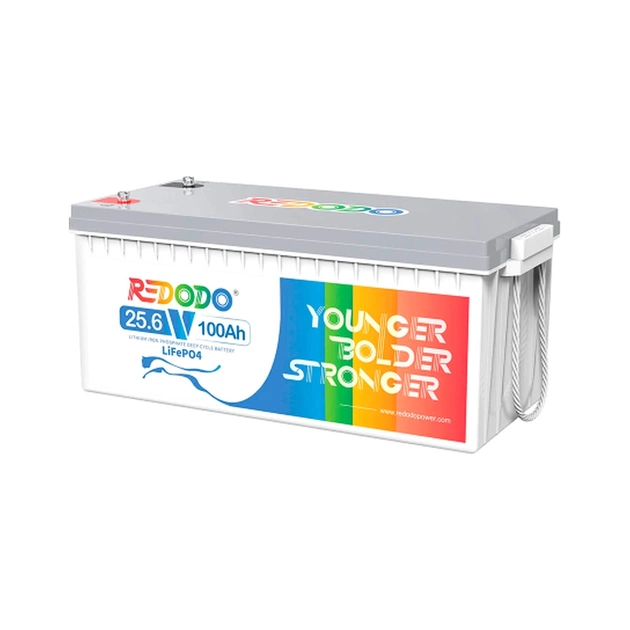 Батарея LiFePo4 Redodo 24V-100Ah (Redodo-24V100Ah) - изображение 1