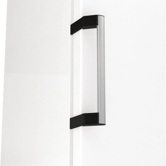 Морозильна камера Gorenje FN619EAW6 - picture 6