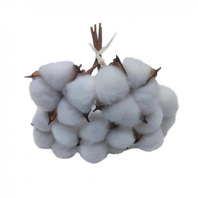 Декоративна гілка YES! Fun Бавовна 5 шт Пучок 24 см (974816) - picture 1