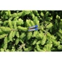 Батарейка Panasonic AAA LR03 Evolta * 4 (LR03EGE/4BP) - зменшене зображення 5