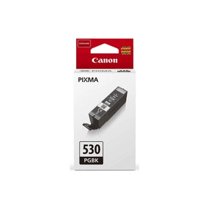 Картридж Canon PGI-530 Black 18,5 ml (6117C001) зображення 1
