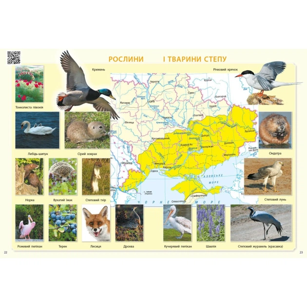 Атлас НУШ Я досліджую світ. 3 клас - О.В. Тагліна Ранок (9786170962454) - picture 4