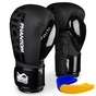 Боксерські рукавички Phantom APEX Speed Black 16oz (PHBG2024-16) - зменшене зображення 1