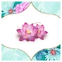 Щоденні прокладки Discreet Deo Water Lily 100 шт. (8001090162274/8700216152921) - уменьшенное изображение 5