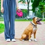Повідець для собак WAUDOG R-leash з контейнером для пакетів S до 12 кг 3 м рожевий (26277) - зменшене зображення 6