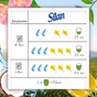 Кондиціонер для білизни Silan Naturals Аромат Кокосової Води та Мінералів 800 мл (9000101384932) - зменшене зображення 7