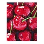 Картина по номерам Rosa Star Натюрморт. Вишні 35х45 см (4823098525189) - зменшене зображення 1