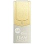 USB флеш накопичувач Team 64GB M161 Gold USB 3.1 OTG Type-C (TM161364GD01) - зменшене зображення 1