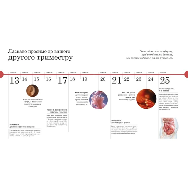 Книга Практична психологія. Вагітність день за днем - Меґґі Блотт Ранок (9786170991058) - picture 9