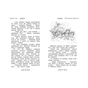 Книга Таємне Королівство. Чарівна гора. Книга 5 - Роузі Бенкс Видавництво РМ (9786178280123) - зменшене зображення 2