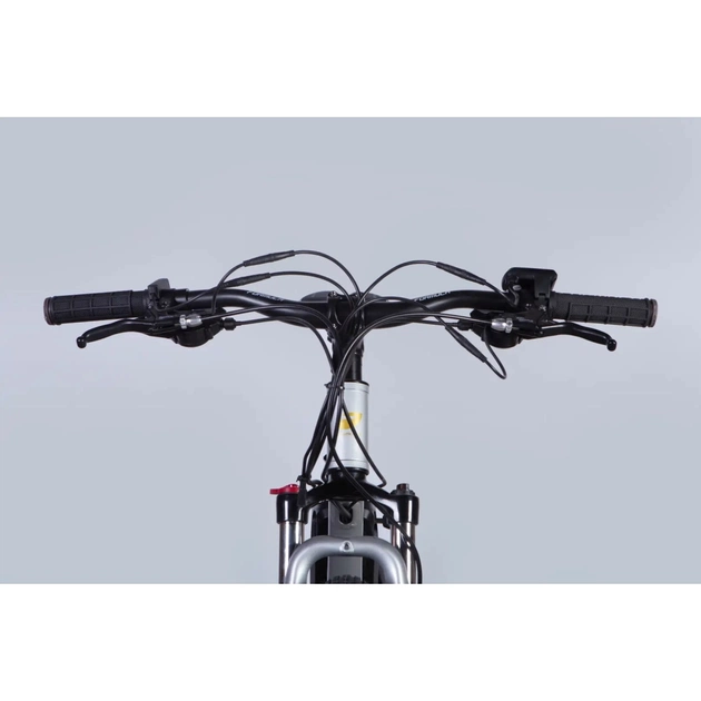 Електровелосипед Formula 29" eF-1 DD CS рама-18,5" 48B 12.5А*г 500Вт 2026 сріблясто-чорний (ELB-FR-29-250) - picture 6