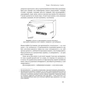 Книга Антикрихкість. Про (не)вразливе у реальному житті - Насім Ніколас Талеб Наш Формат (9786177973002) - зменшене зображення 11