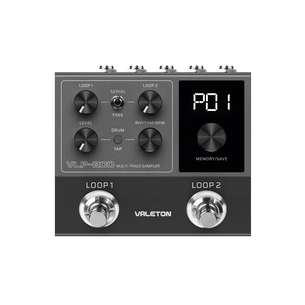 Гітарний процесор Hotone Audio Valeton VLP-200 Stereo Dual Looper (236675) зображення 1