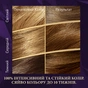 Фарба для волосся Wella Color Perfect 6/0 Темно-русявий (4064666598321) - зменшене зображення 3
