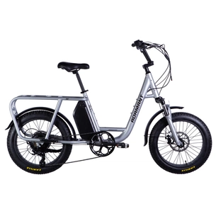 Електровелосипед Dorozhnik 20" ADAMANT DD FR рама-18,5" 8B 17.5А*г 500Вт 2026 срiблястий (ELB-D-20-076) зображення 1