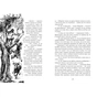 Книга Вартові Кордонів і Меж. Гострі кігті минулого - Гаель Алехо Грахілья Readberry (9786170999375) - уменьшенное изображение 9