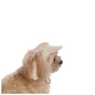Кепка для животных Pet Fashion Glamor М (4823082445912) - уменьшенное изображение 2