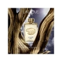 Парфумована вода Lalique Pour Homme Lion 125 мл (3454960007468) - зменшене зображення 3