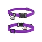 Нашийник для тварин WAUDOG Magnet c QR паспортом, магнітна пряжка-фастекс S фіолетовий (27949) - зменшене зображення 1