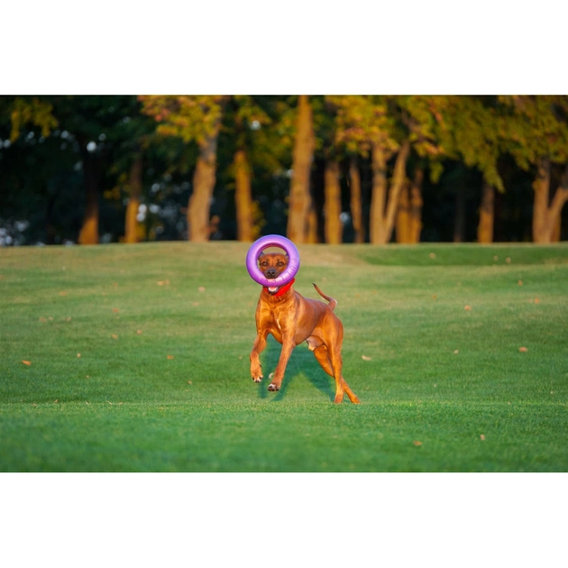 Іграшка для собак Puller Maxi 30 см (6492) - picture 5