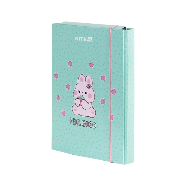 Папка для зошитів Kite В5 на гумці Feel Good (K25-210-1) - picture 1