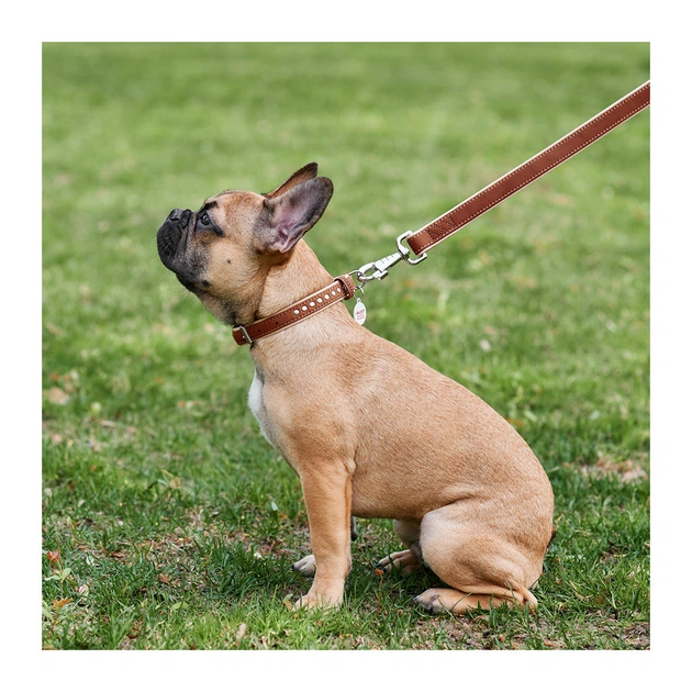 Повідець для собак WAUDOG Soft S Ш 18 мм Д 122 см коричневий (7257) - зображення 3