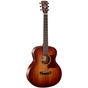 Гітара електроакустична Cort Little CJ Blackwood (Open Pore Light Burst) - зменшене зображення 1