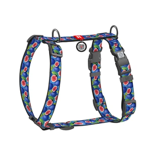 Шлея для собак WAUDOG H-подібна анатомічна Nylon з QR адресником "Інжир" пластиковий фастекс S (343-4053) зображення 1