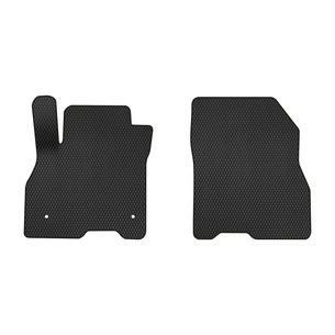 Килимок в салон EVAtech передні Nissan Leaf (ZE0) 2010-2017 1 по (NS12263A2LA2RBB) зображення 1