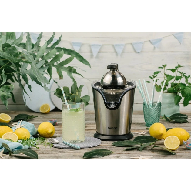 Соковижималка Gorenje CJ100HE - picture 4
