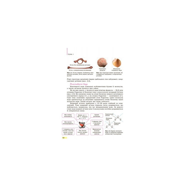 Підручник Біологія. 9 клас. Для ЗНЗ - К.М. Задорожний Ранок (9786170933614) - зображення 9