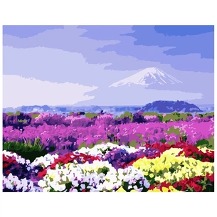 Картина по номерам Strateg Поле різнокольорових квітів 40х50 см (VA-2911) зображення 1