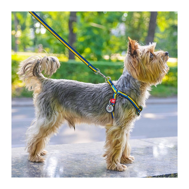 Повідець для собак WAUDOG Nylon "Colors of freedom" L-XXL 25 мм х 122 cм (4925-4020) - зображення 3