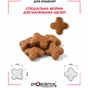Сухий корм для кішок ProScience Kitten Lamb 1.5 кг (8694686407547) - зменшене зображення 9