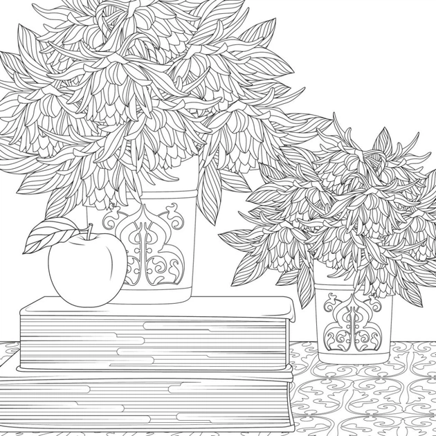 Книга Міські джунглі - Сара Муціо Жорж (9786178287214) - picture 3