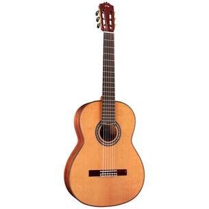 Гітара класична Cordoba C9 CD зображення 1