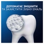 Зубна паста Oral-B Pro-Science Відновлення емалі Щоденний захист 75 мл (8001090247544) - preview 7