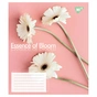 Зошит Yes Essence of Bloom А5 24 аркушів клітинка (767717) - уменьшенное изображение 2