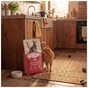 Сухий корм для кішок Carnilove Active Lamb & Wild Boar Sterilised 400 г (8595602581429) - зменшене зображення 8