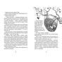 Книга Світ у вулкані. Дощ-убивця. Книга 2 - Ольга Максимчук Видавництво Старого Лева (9786176798774) - зменшене зображення 6