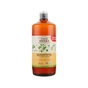 Шампунь Зелена Аптека Березові бруньки та рицинова олія 1000 мл (4823015934360) - зменшене зображення 1