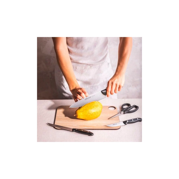 Набір ножів Arcos серія " Maitre" із 4 предметів (152600) - зображення 5