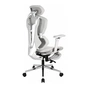 Крісло ігрове GT Racer X-7002 Gray/Gray/Light Gray (X-7002 Gray/Gray/Light Gray (Massage)) - зменшене зображення 6