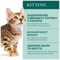 Вологий корм для кішок Optimeal для кошенят зі смаком курки 85 г (4820083905452) - зменшене зображення 3