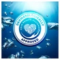 Шампунь Head & Shoulders Detox Глибоке очищення 300 мл (8001841996769) - зменшене зображення 4